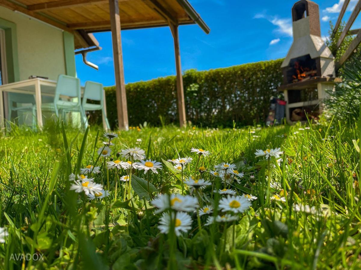 Green Oasis Garden Šenčur Exterior foto