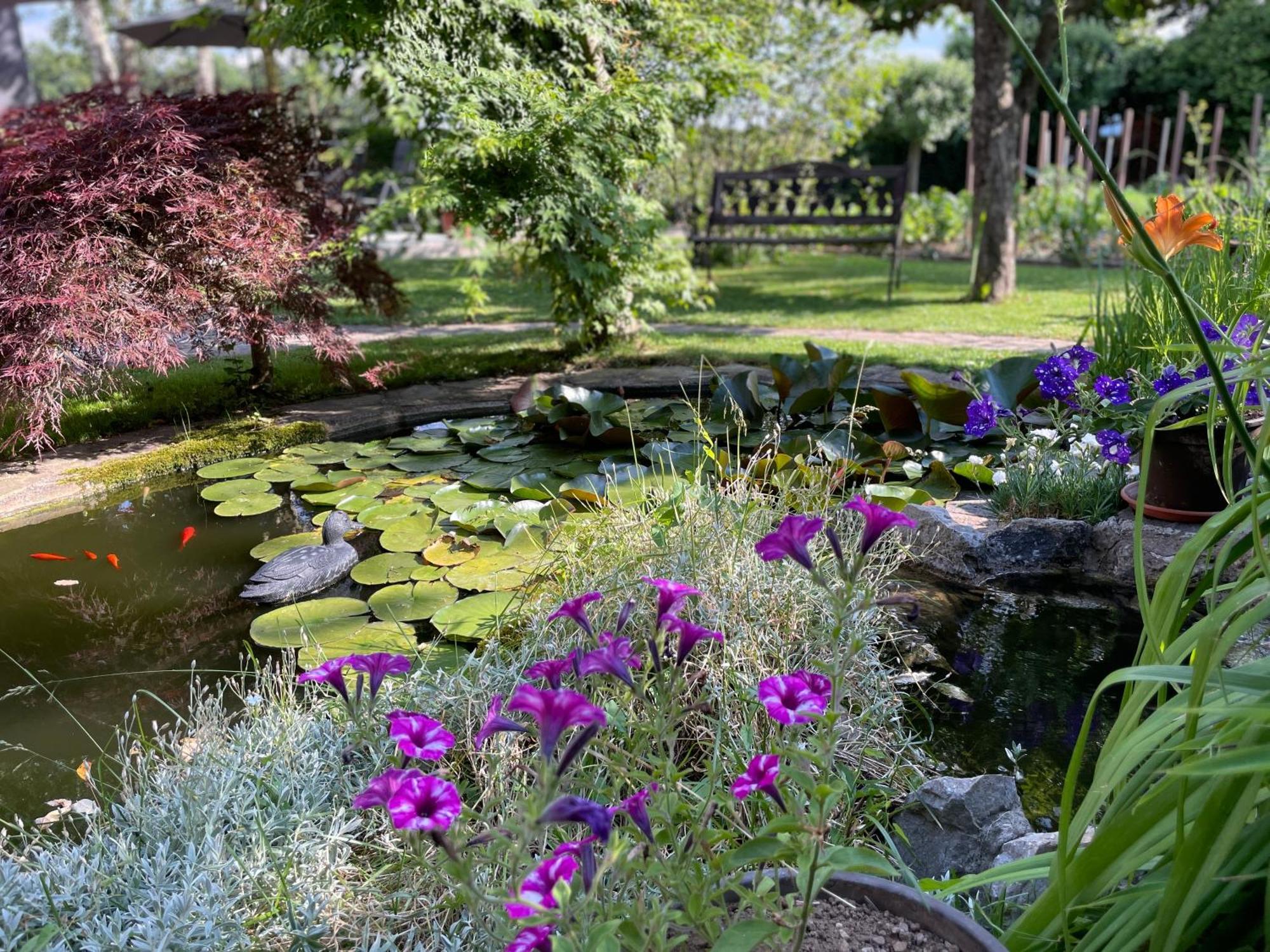 Green Oasis Garden Šenčur Exterior foto